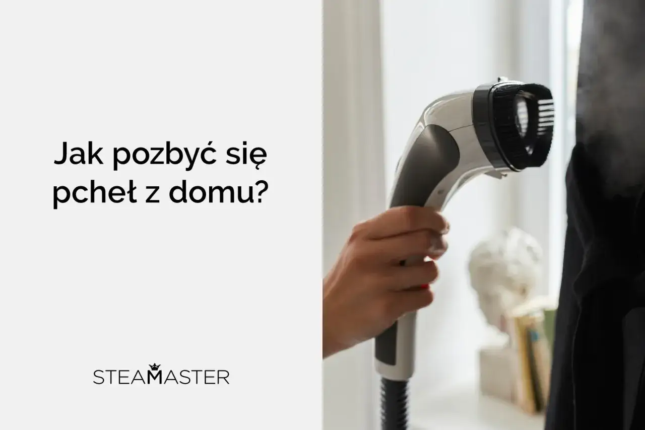 Para pozbyć się pcheł z domu, użyj parownicy. Gorąca para zabija niechcianych gości.