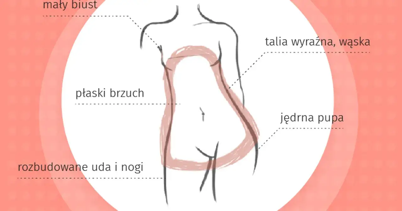 kobiece typy sylwetek infografika