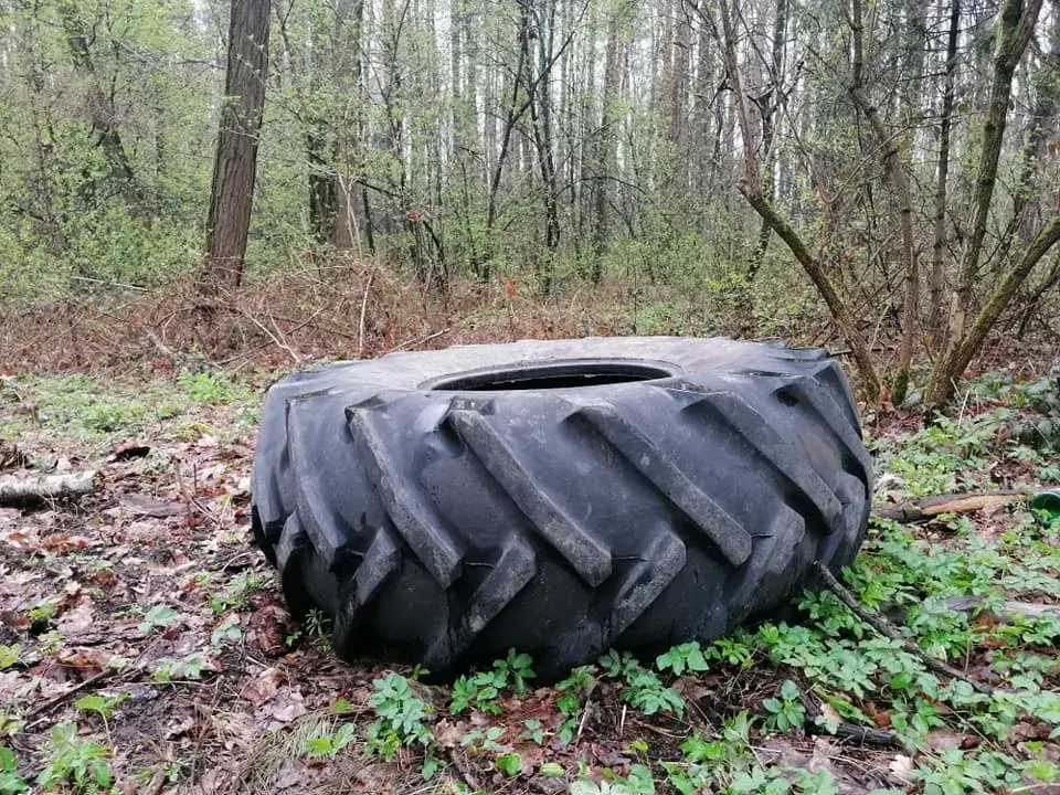 Porzucone opony w lesie