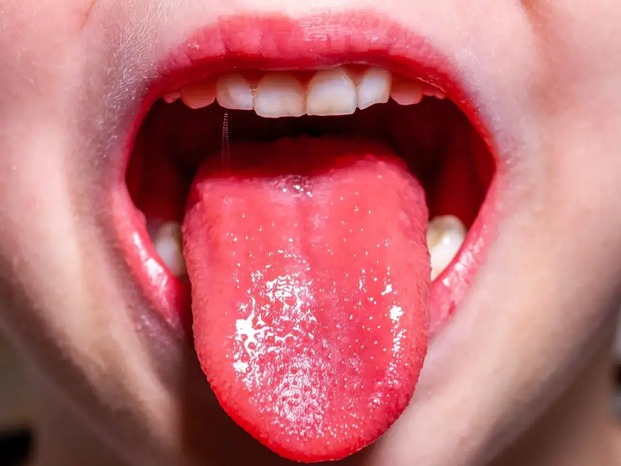 Usta otwarte, ukazujące błyszczący, czerwony język i białe zęby. Kropla śliny zwisa z zęb&oacute;w.
