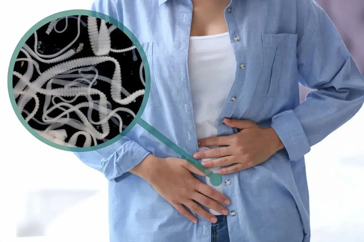 Zdjęcie Tasiemiec psi u człowieka: 5 objawów których nie przegap