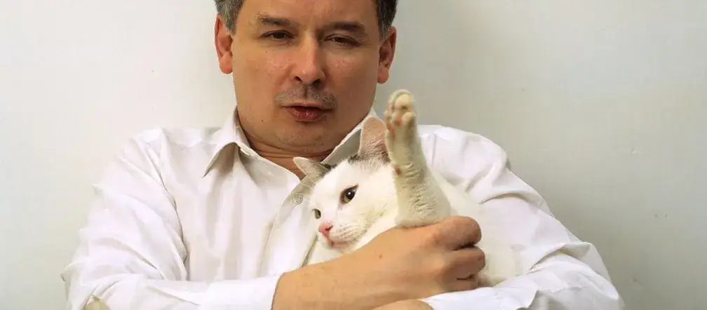 Zdjęcie Czy Kaczyński ma kota? Odkryj prawdę o jego pupilkach