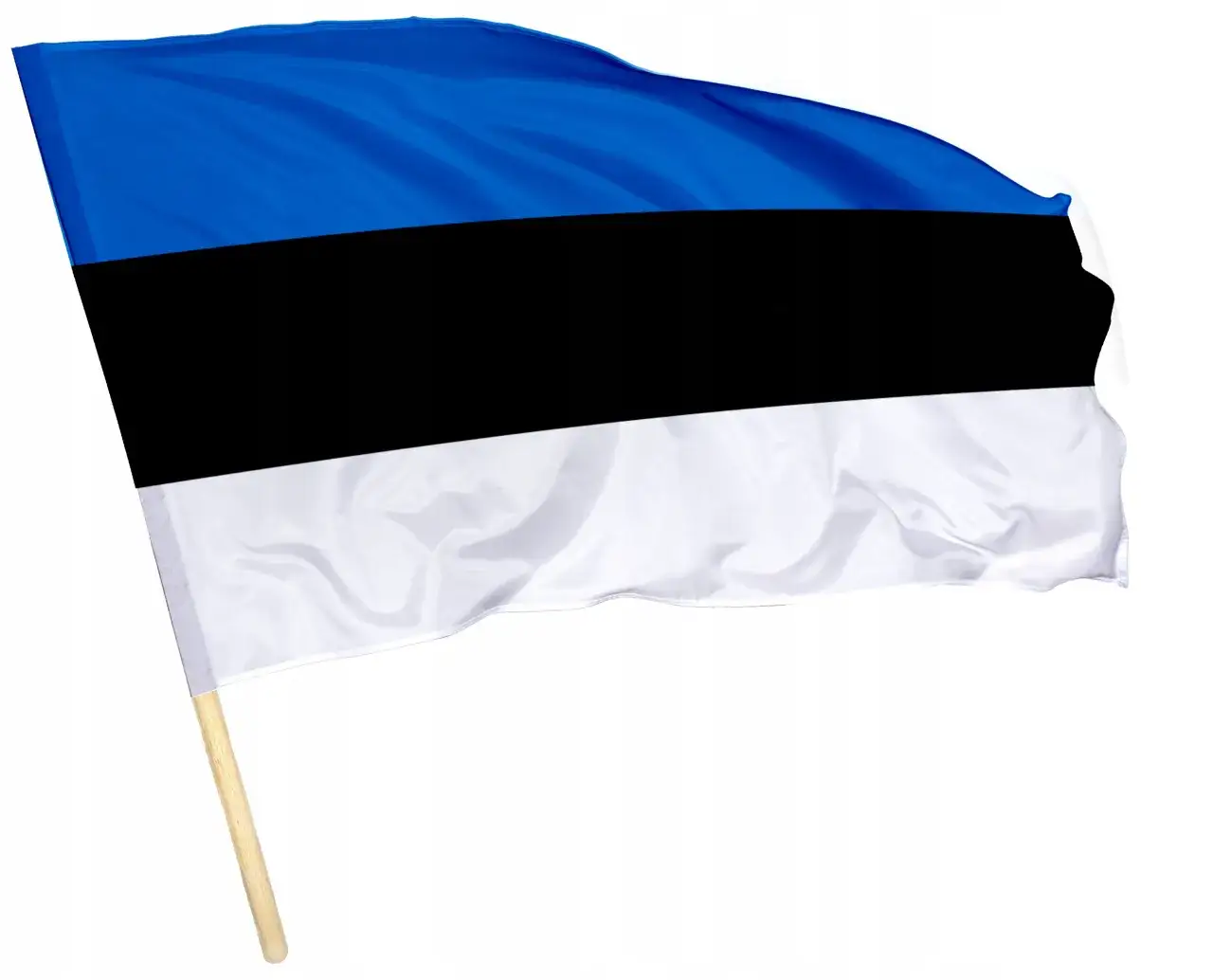 Zdjęcie Jak wygląda flaga Estonii? Symbolika kolorów i historia flagi