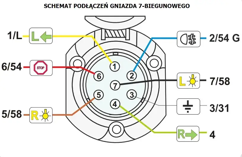 Zdjęcie Jak podłączyć gniazdo 7 pinowe - uniknij problem&oacute;w z przyczepą