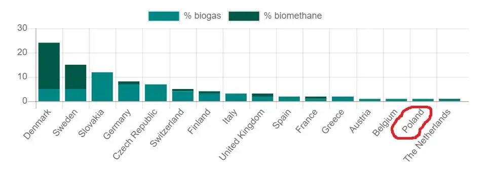 Zdjęcie Koszt budowy biogazowni: Ceny, czynniki i dotacje w Polsce