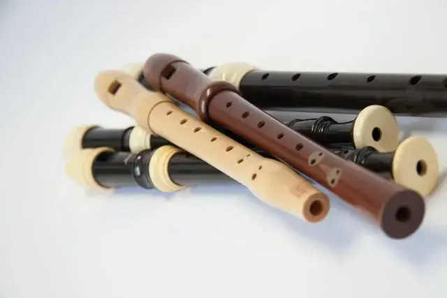 Zdjęcie Jak zagrać gamę na flecie - proste kroki dla początkujących