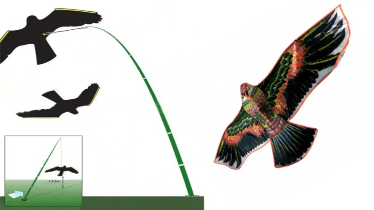 Zdjęcie Jak złożyć latawiec orzeł - prosta instrukcja krok po kroku