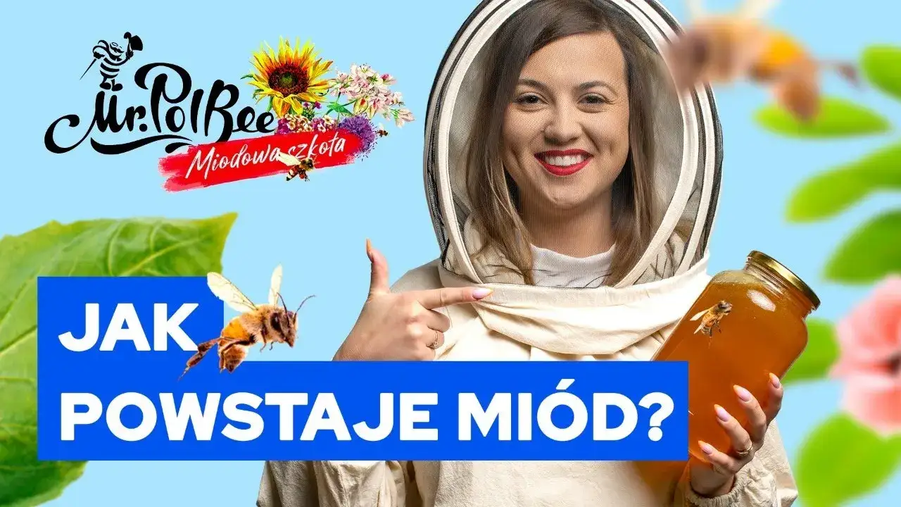 Zdjęcie Jak powstaje miód film edukacyjny dla dzieci - fascynująca podróż do ula