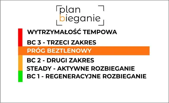 strefy tętna bieganie infografika