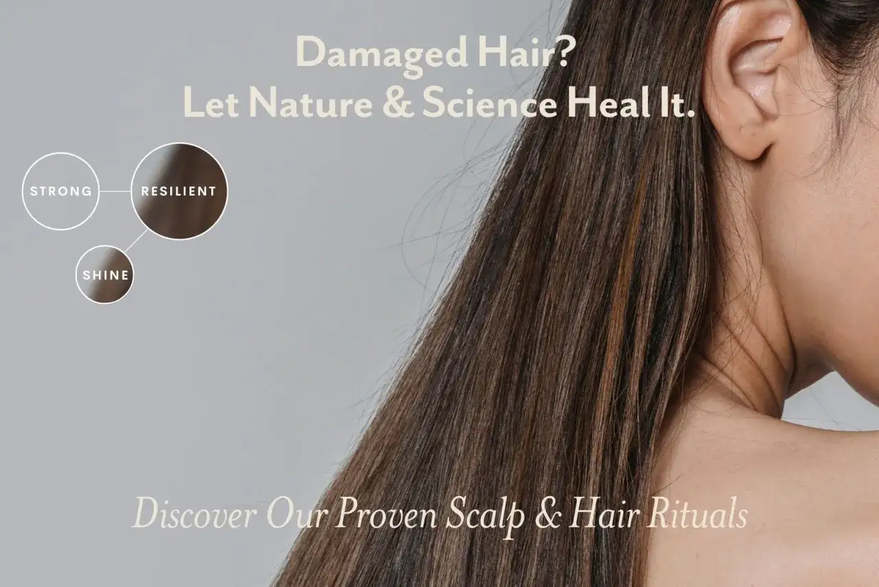 Olaplex co to? Zdrowe, mocne i lśniące włosy dzięki nauce i naturze. Odkryj rytuały dla skóry głowy i włosów.