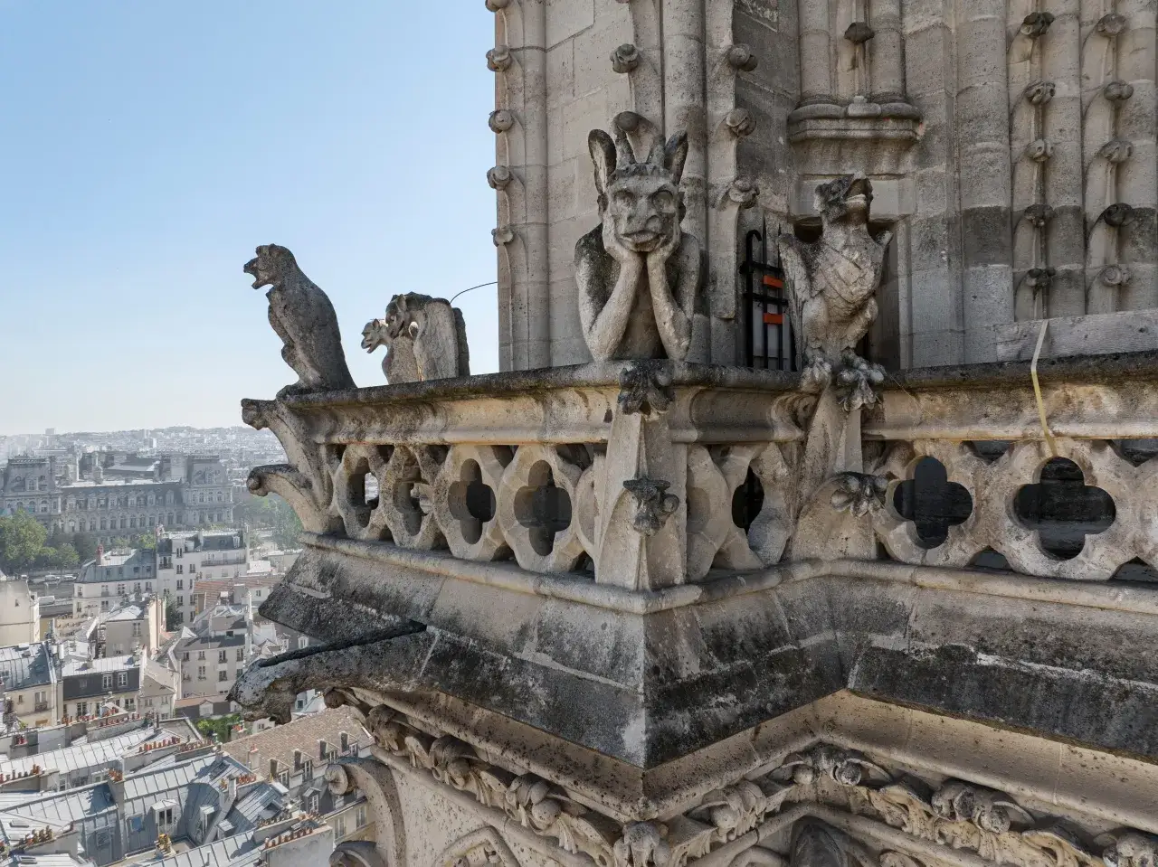 Kamienne gargulce Notre Dame spoglądają na Paryż.