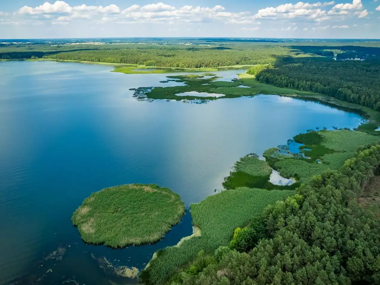 Zielone wyspy na błękitnym jeziorze, otoczone lasem. Czy Polska ma jakieś wyspy? Tak, te małe, zielone cuda natury!