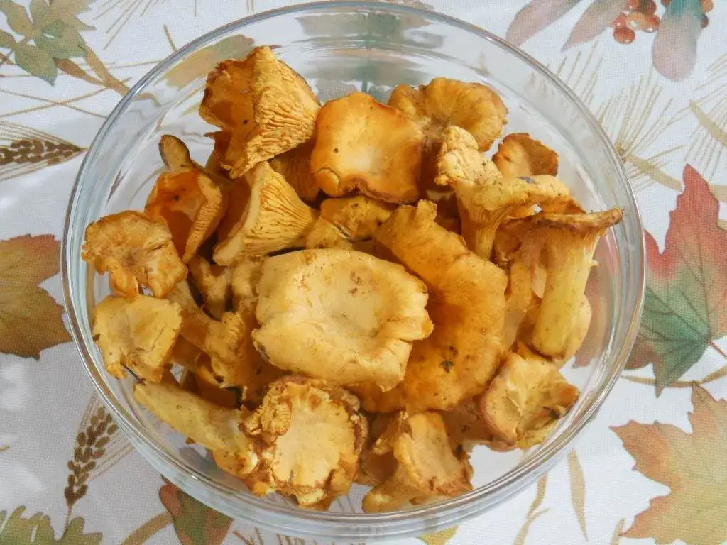 mrożone kurki r&oacute;żne metody przygotowania