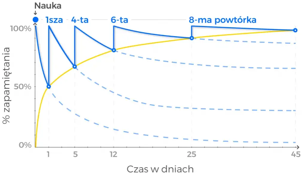 osoba zmagająca się z nauką lub krzywa zapominania
