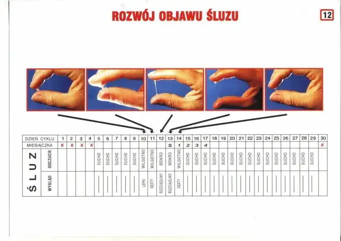 Różne rodzaje śluzu szyjkowego w zależności od fazy cyklu