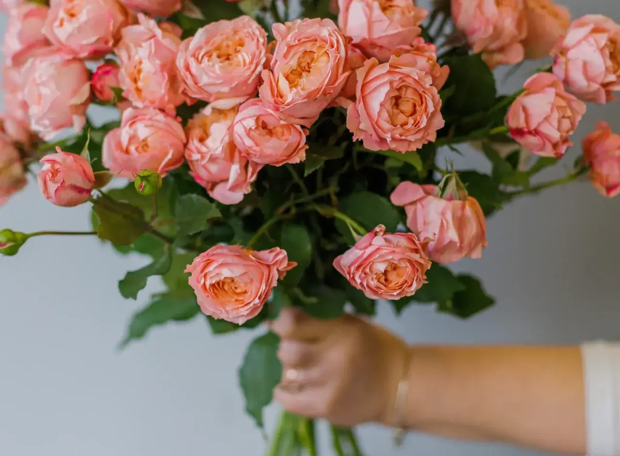 Bukiet r&oacute;żowych r&oacute;ż, co oznacza 8 r&oacute;ż? Delikatne płatki, zielone liście i dłoń trzymająca kwiaty.