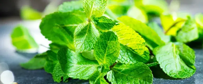 naturalne sposoby na ból żołądka zioła