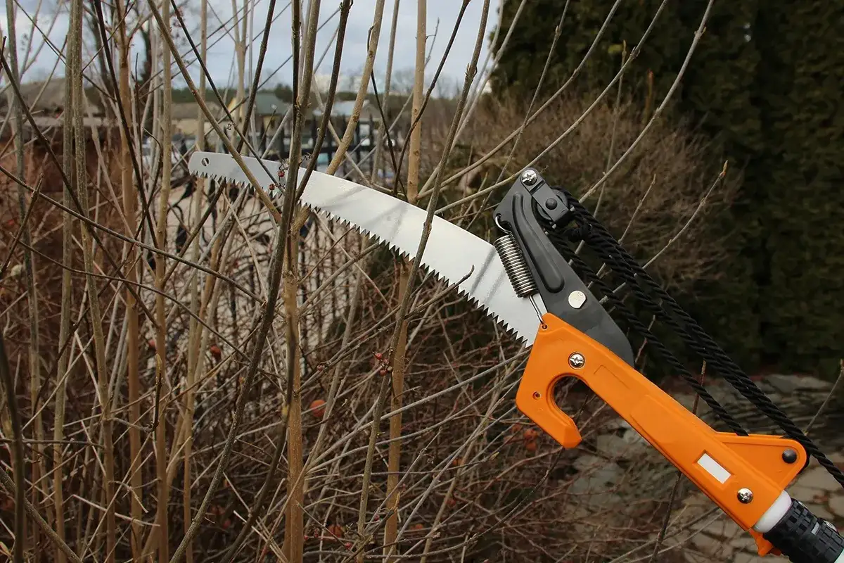 narzędzia do cięcia czarnej porzeczki sekator piła ogrodnicza