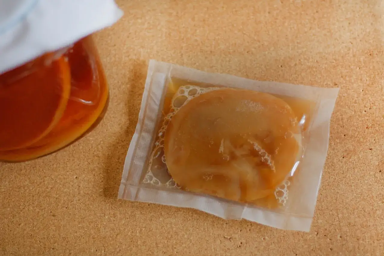 Starter SCOBY do kombuchy