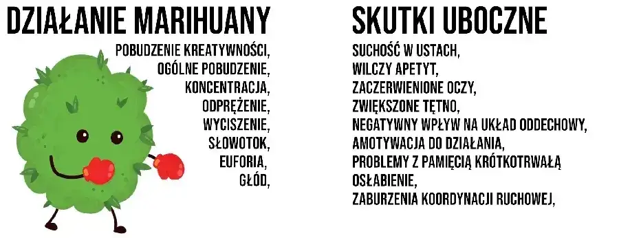 Skutki uboczne marihuany infografika