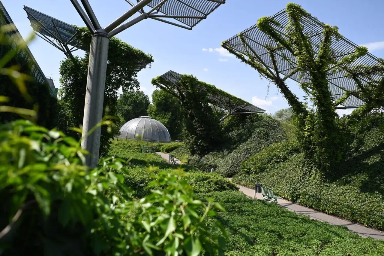 Zielona oaza w sercu miasta, idealna na instagramowe miejsca Warszawa. Wśród pnączy i kopuły Ogrodu Botanicznego.