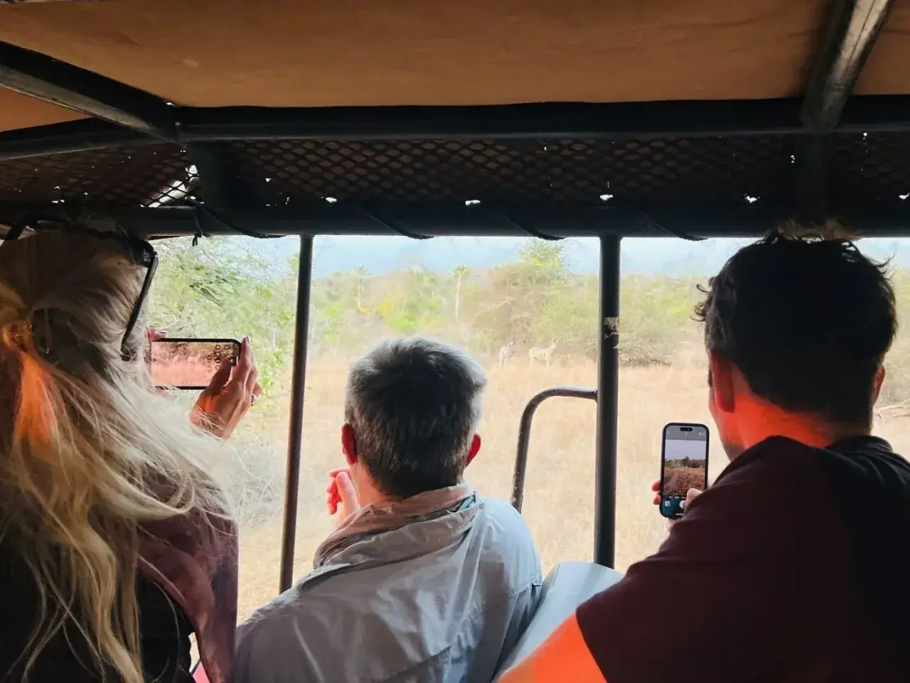 Turyści w Afryce obserwują zebr w ich naturalnym środowisku, dokumentując przygodę telefonami.