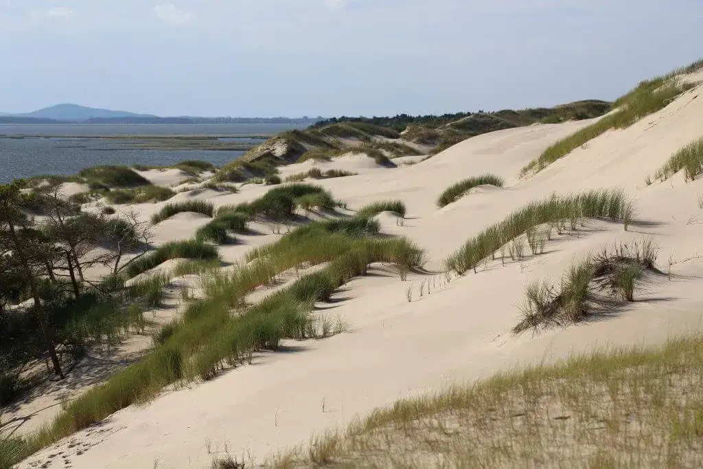 Meleks Słowiński Park Narodowy, trasa na wydmy