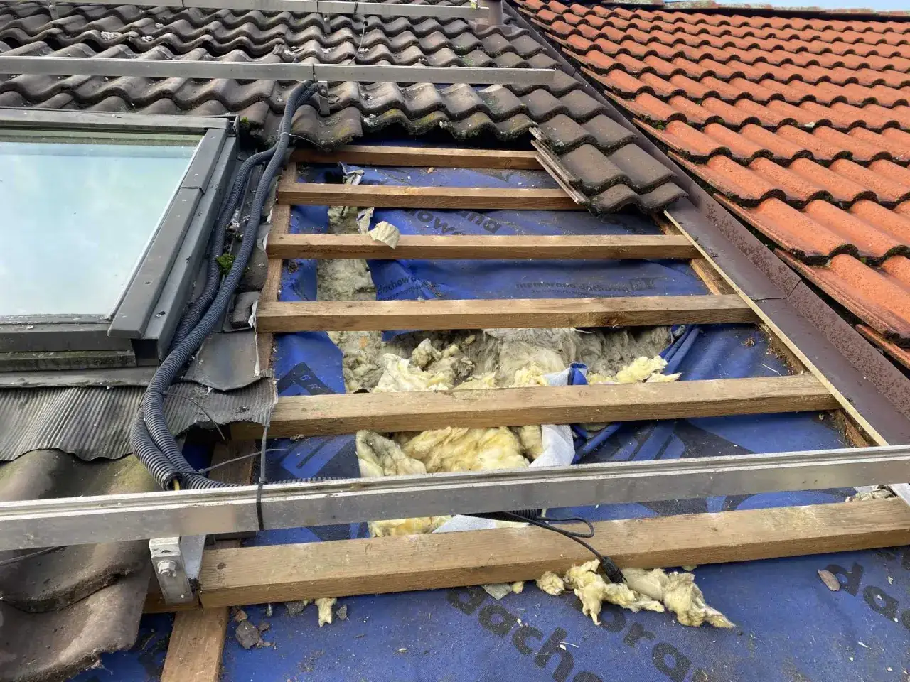 zrujnowana izolacja poddasza przez kunę