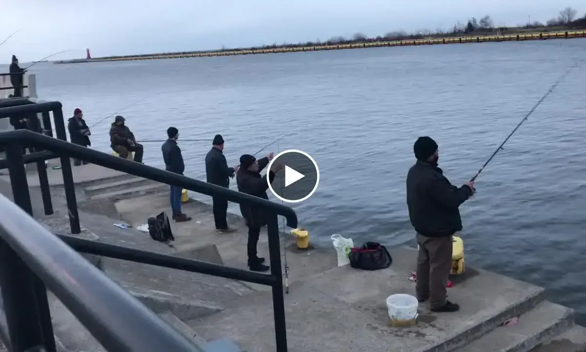 wędkarz łowiący śledzie w porcie bałtyckim