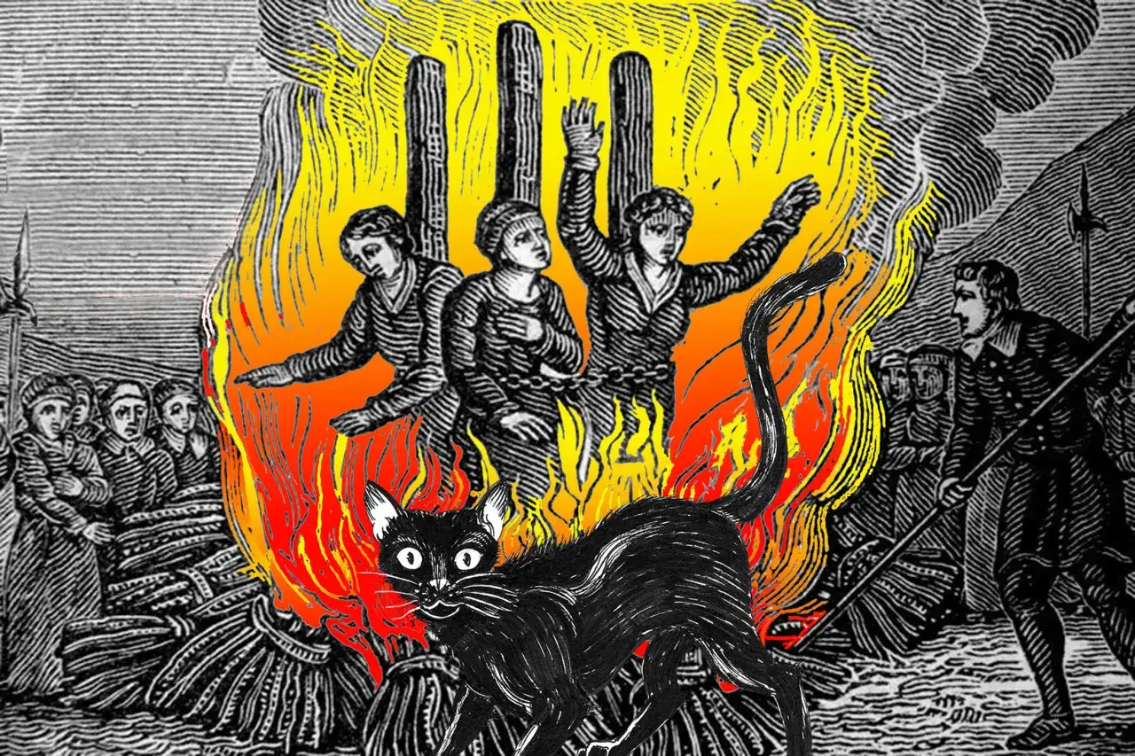 Ilustracja legendy o pochodzeniu kot&oacute;w