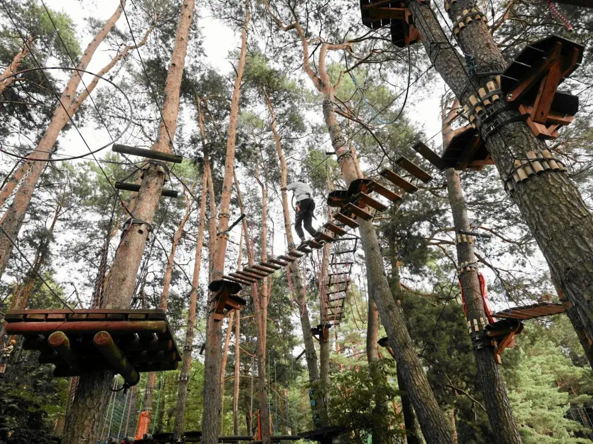 park linowy łomianki trasy dla dzieci i dorosłych