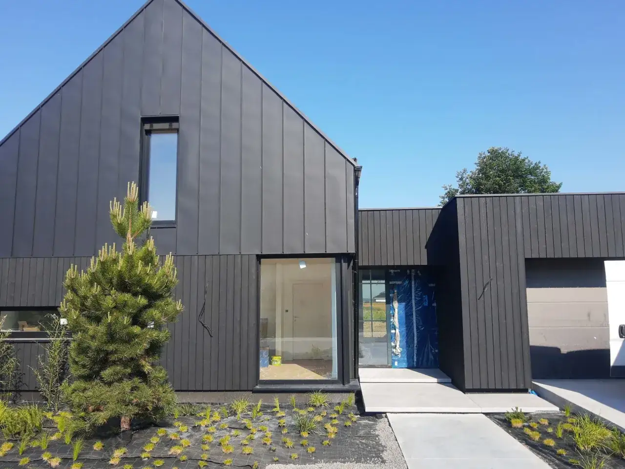 Nowoczesny dom z grafitową elewacją, dużymi oknami i młodą sosną w ogrodzie.