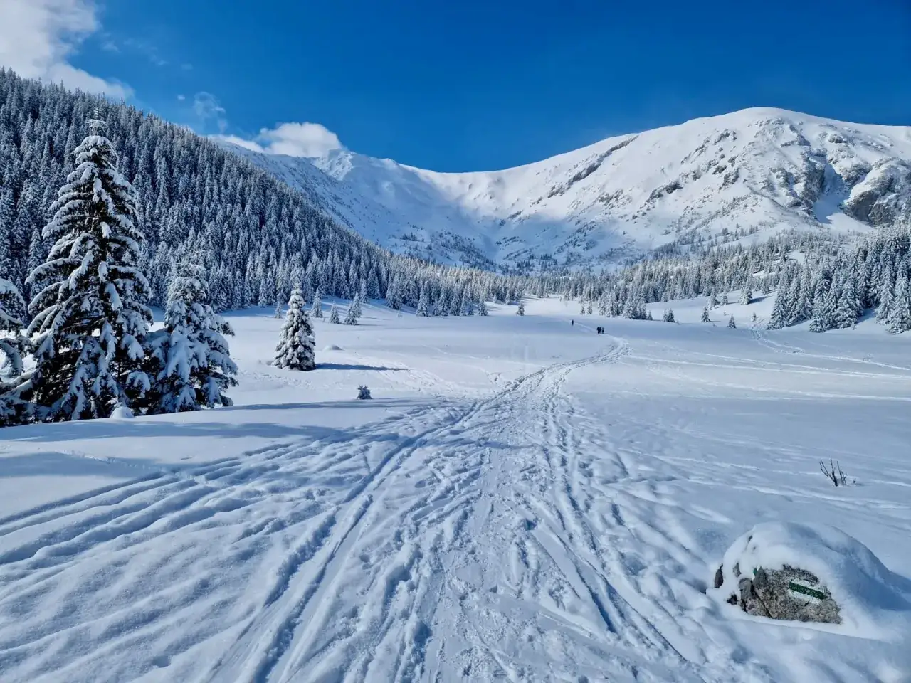 Zimowe Tatry widok na dolinę