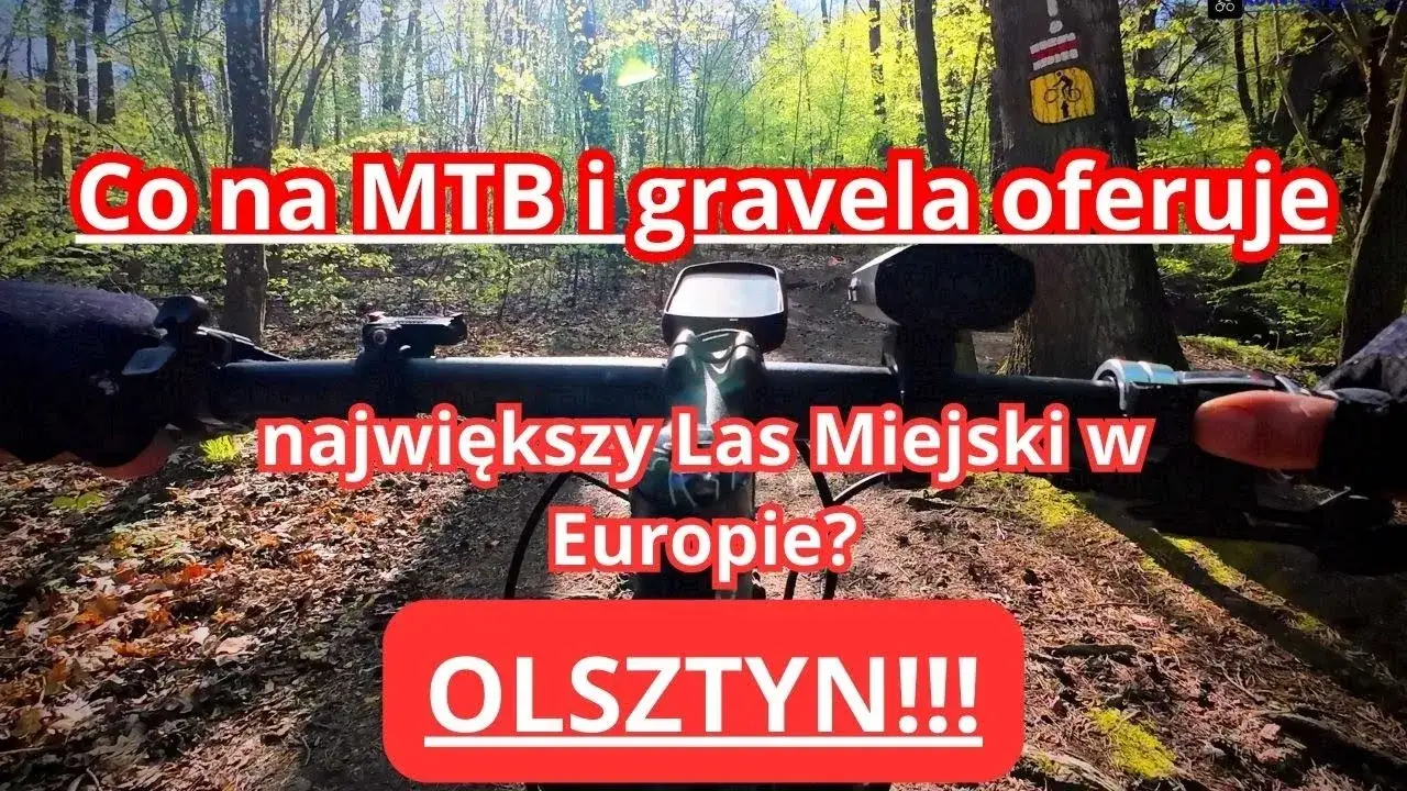 Rowerzysta na szlaku MTB Olsztyn Las Miejski