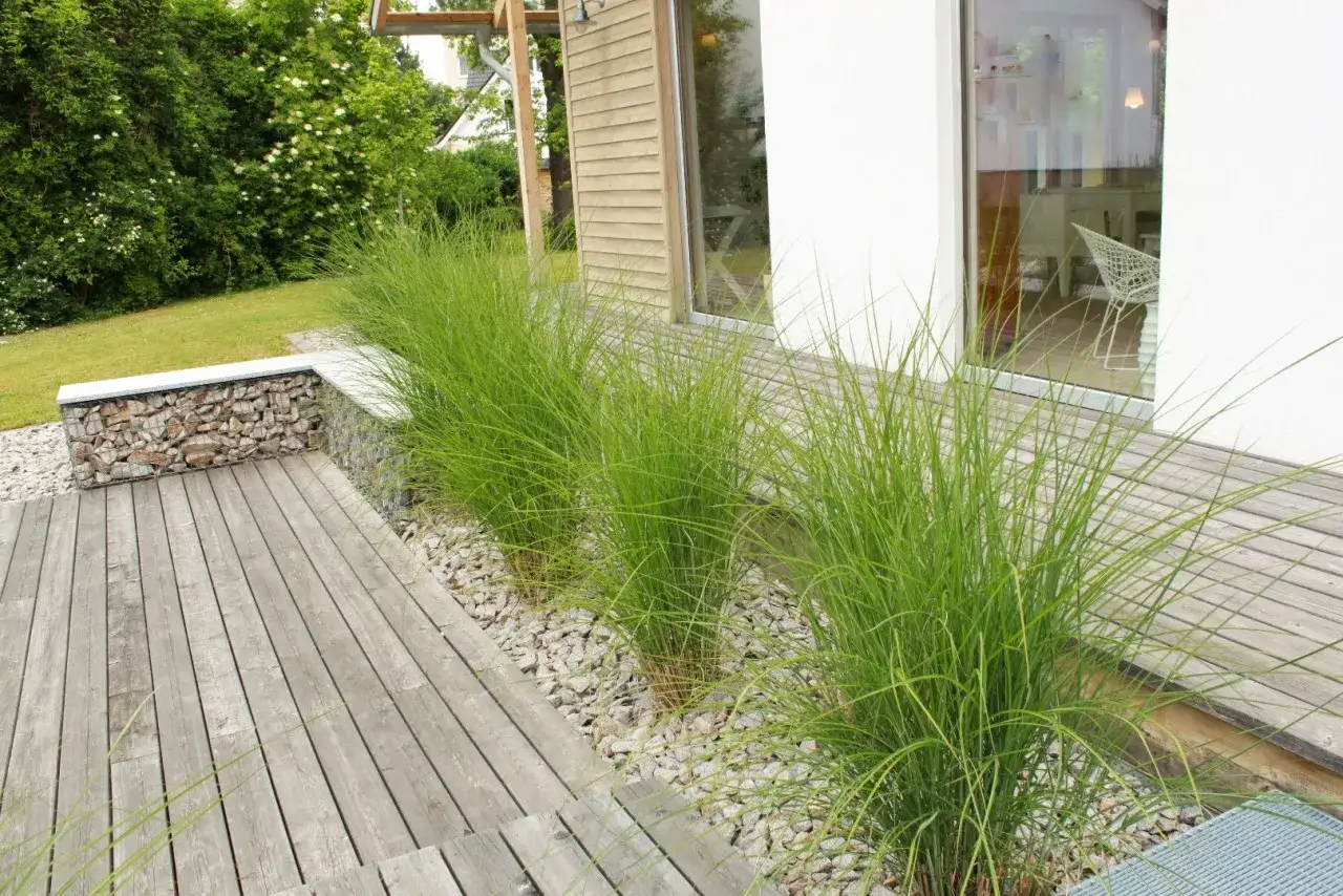 Piękne trawy ozdobne tworzą zieloną kaskadę przy tarasie. Idealne, jakie trawy do ogrodu, by nadać mu nowoczesny charakter.