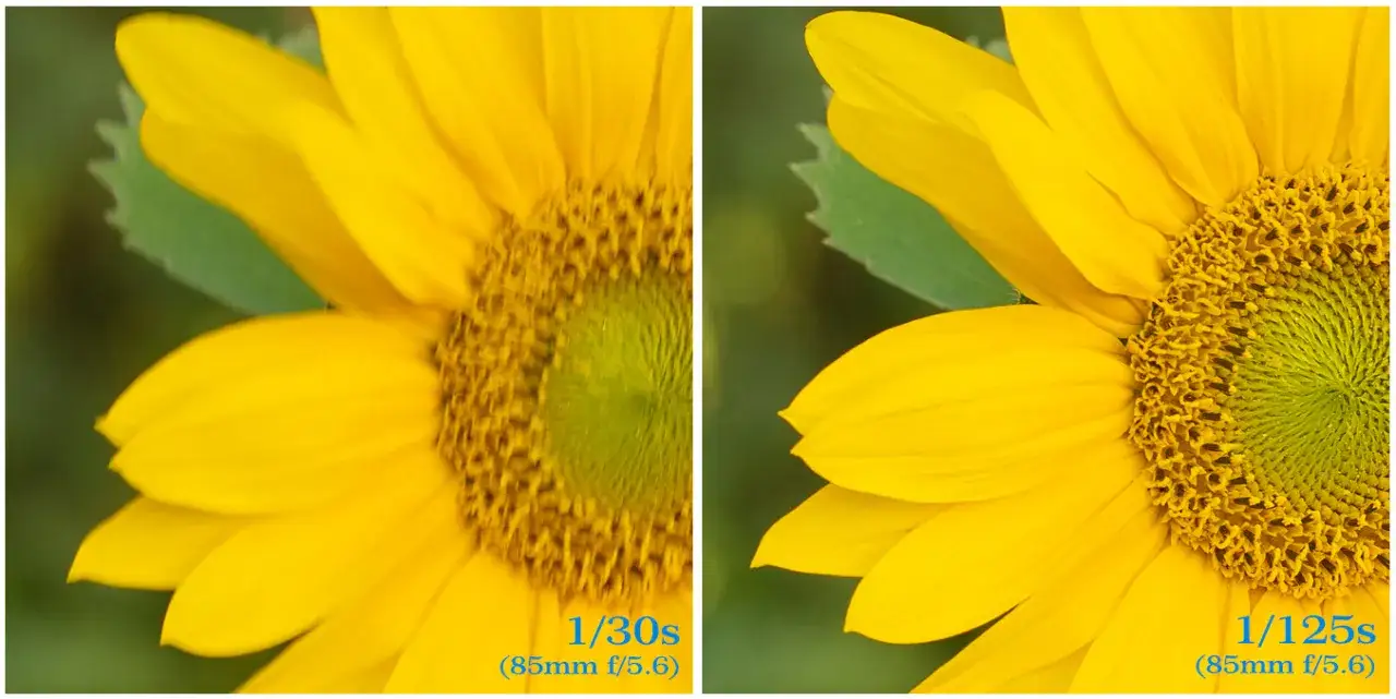 ostre zdjęcie vs nieostre zdjęcie por&oacute;wnanie