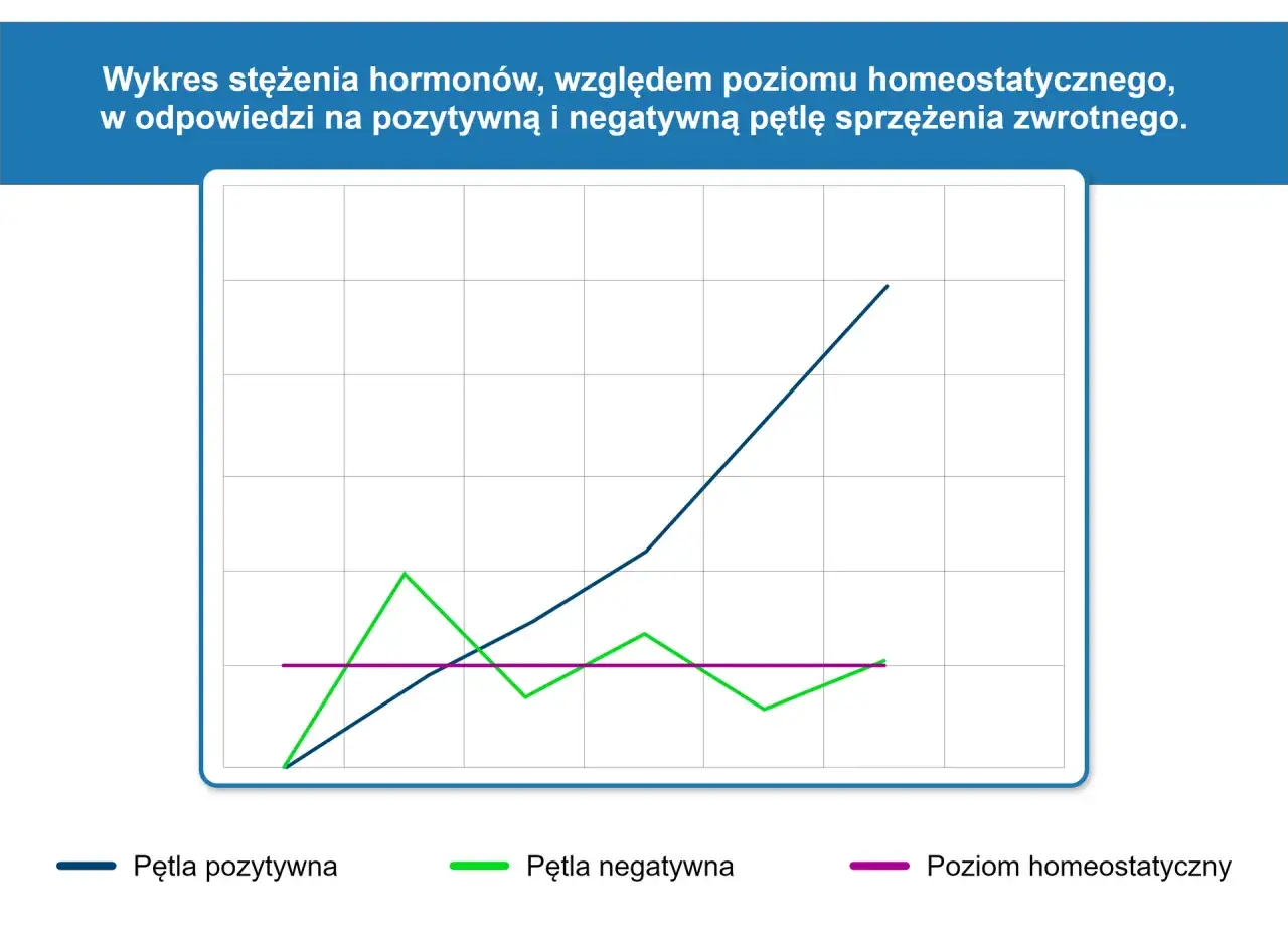 schemat sprzężenia zwrotnego ujemnego
