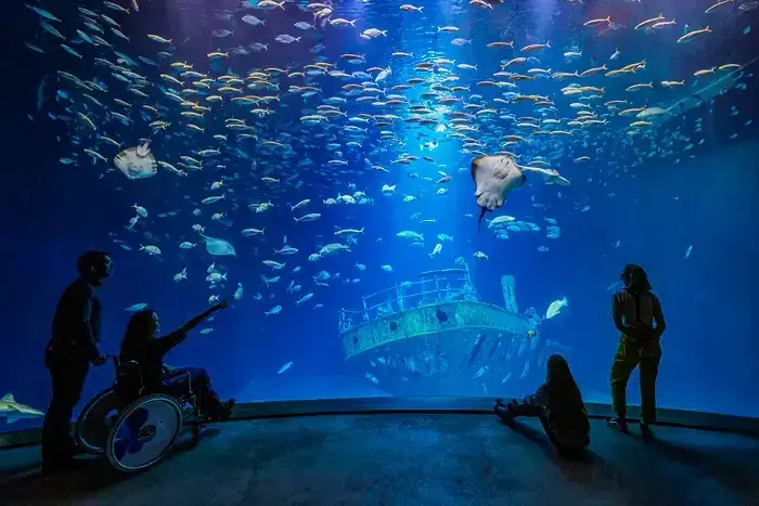 Ozeaneum Stralsund wnętrze akwaria