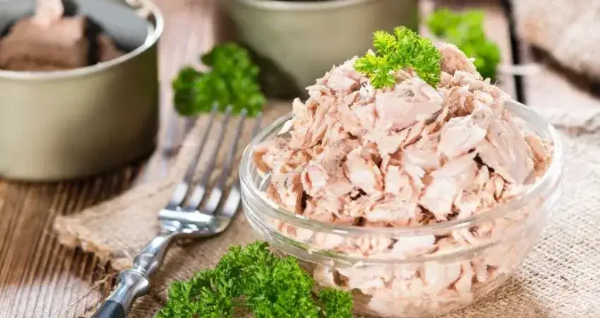 Zdjęcie Czy pies może jeść rybę z puszki? Bezpieczne opcje i pułapki do unikania