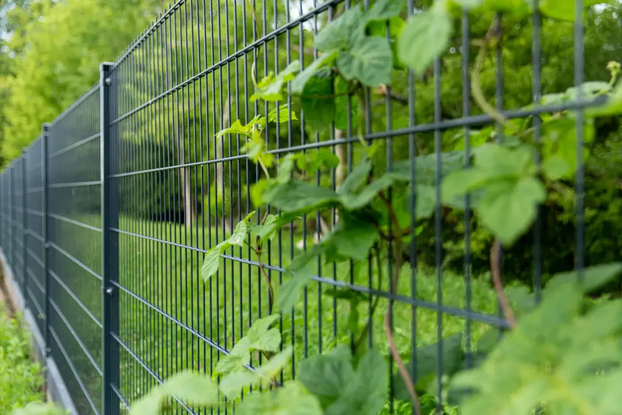 grafitowe ogrodzenie przy nowoczesnym domu