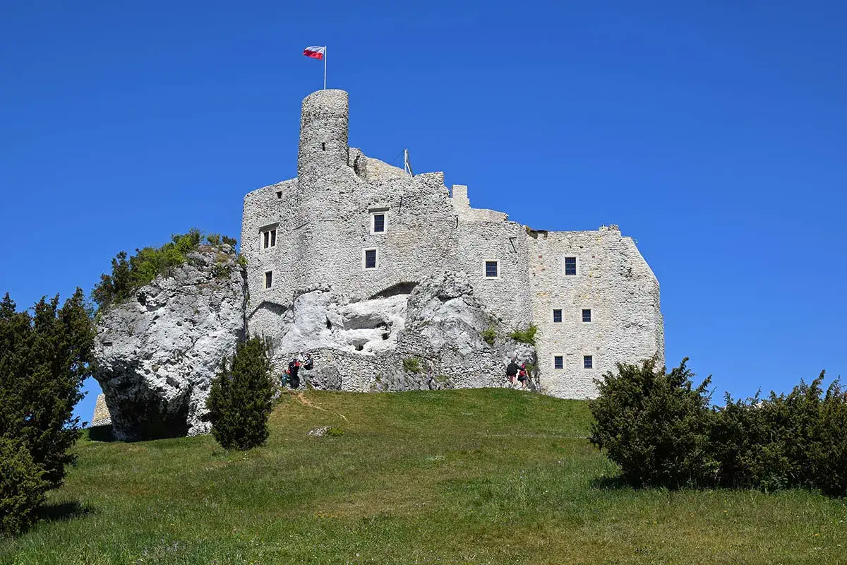 Ruiny zamku na skale, część rowerowego szlaku Orlich Gniazd. Polska flaga powiewa na wieży.