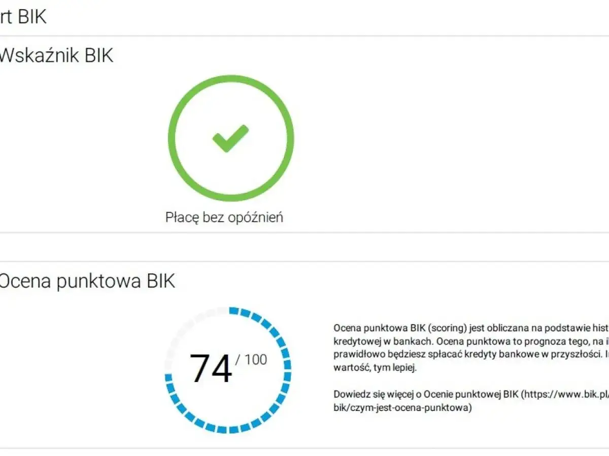 Raport BIK: wskaźnik płacenia bez opóźnień i ocena punktowa 74/100. Dowiedz się, co to jest raport BIK.