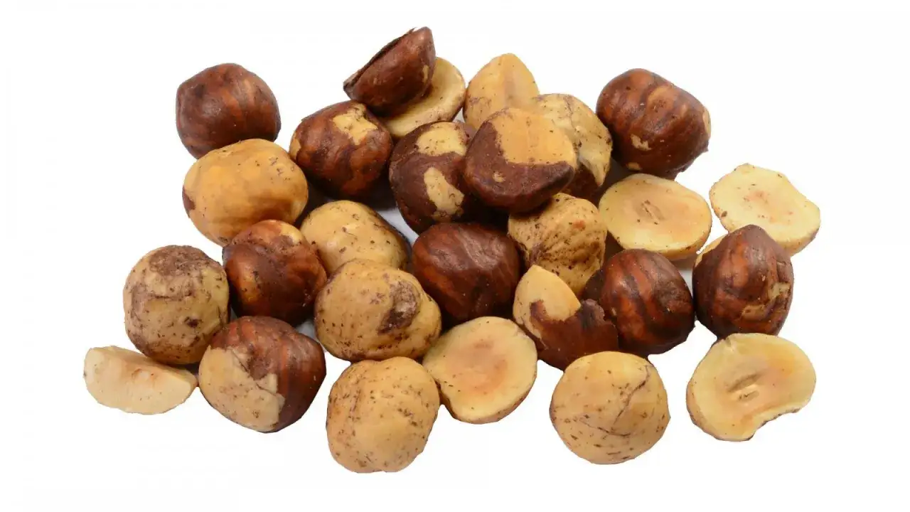 prażone orzechy laskowe na blasze