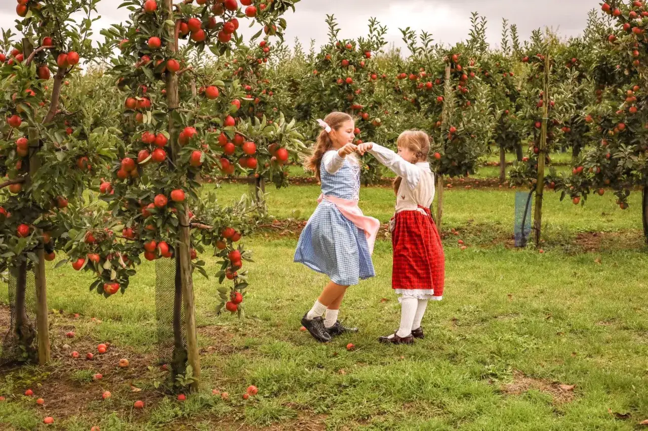 Dzieci zbierające owoce w ogrodzie