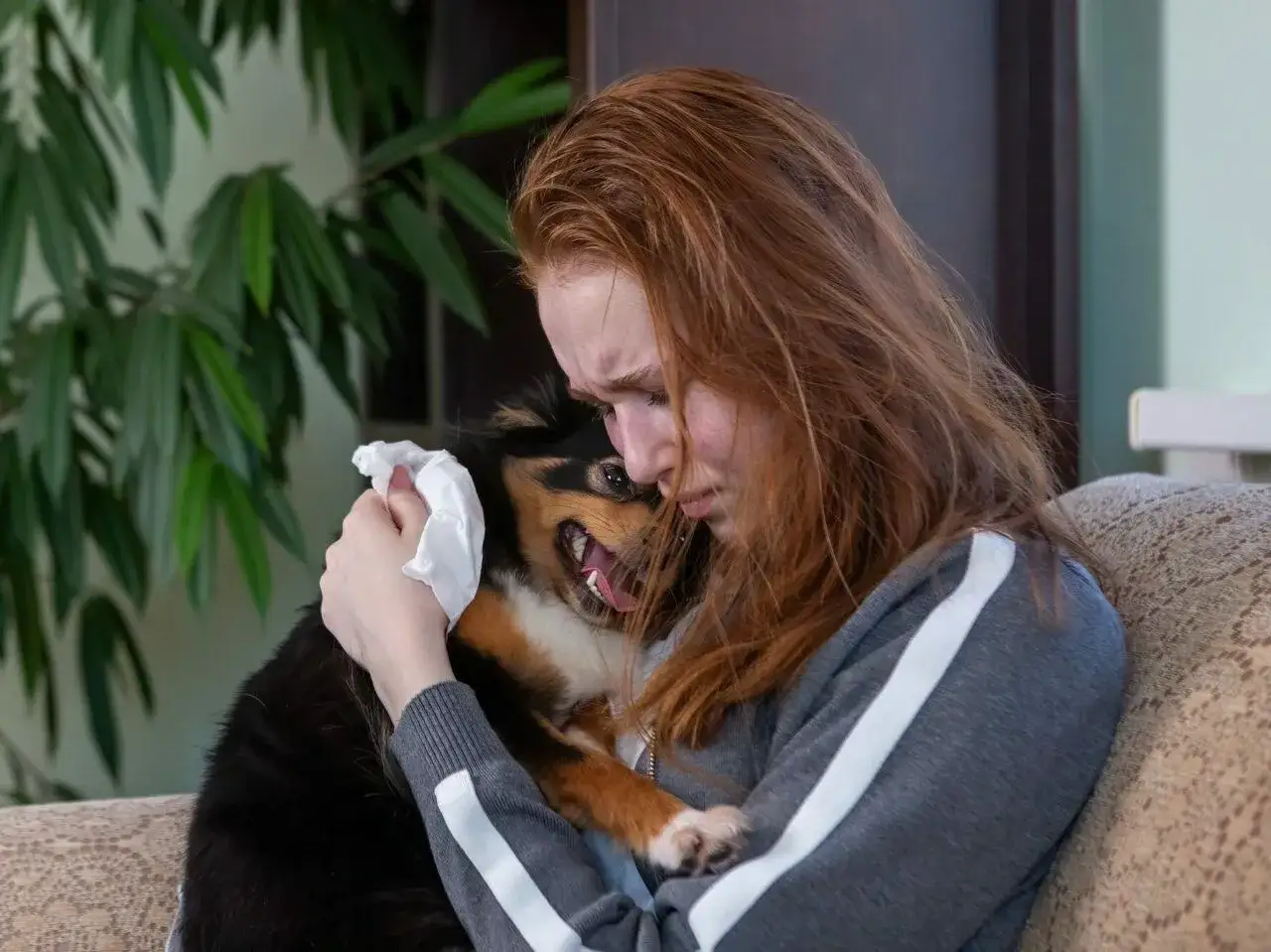 Smutna dziewczyna tuli psa, zastanawiając się, co zrobić, gdy zdechnie pies z chipem.