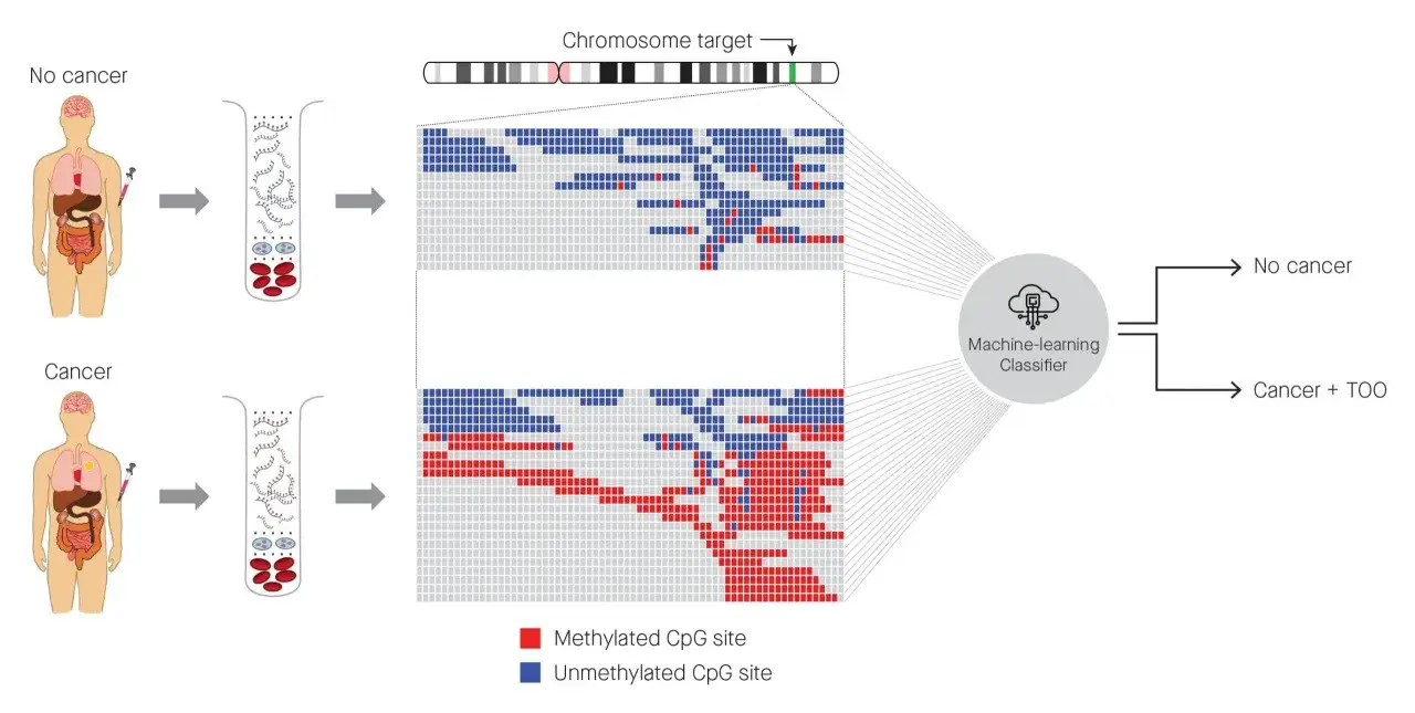Badania genetyczne na raka: analiza metylacji CpG na chromosomie. Wyniki klasyfikowane przez uczenie maszynowe.