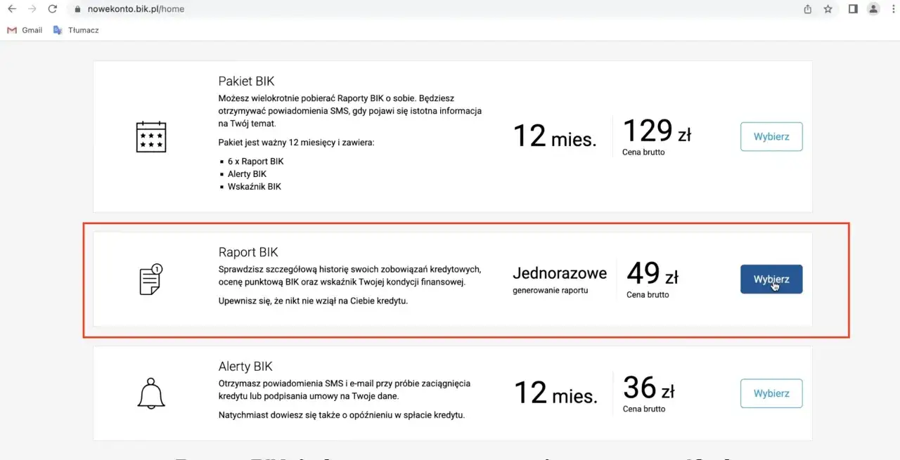 Raport BIK analiza bankowa