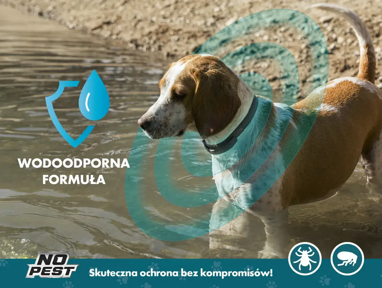 Zdjęcie Najlepsza obroża przeciw kleszczom - skuteczność i porównania produktów