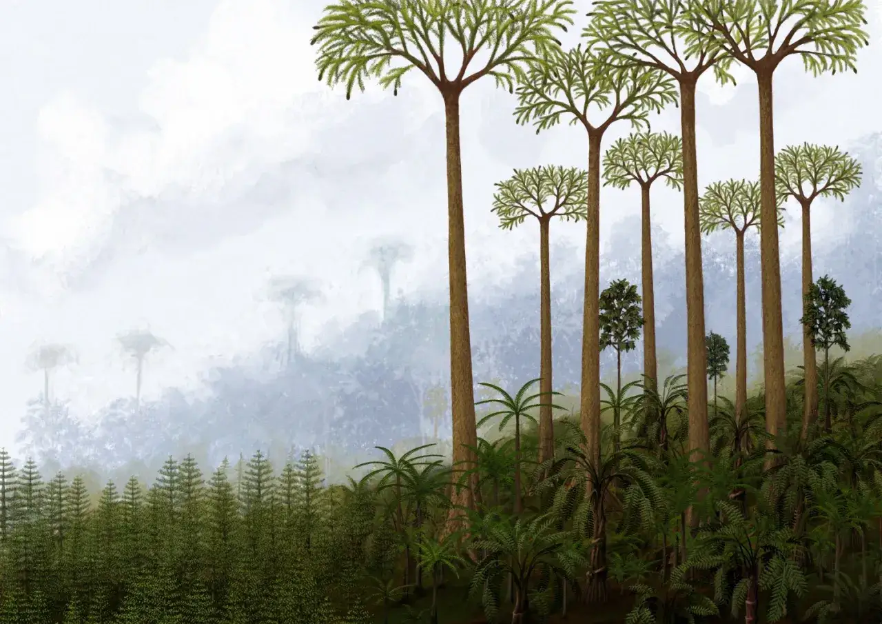 prastary las karbon gigantyczne paprocie widłaki dla dzieci