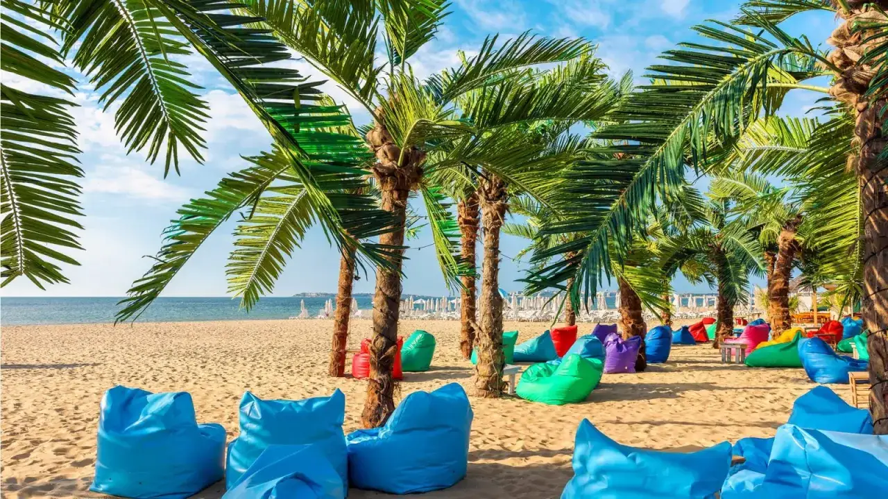 Kolorowe pufy na piaszczystej plaży pod palmami, idealne na relaks na Złotych Piaskach w Bułgarii.